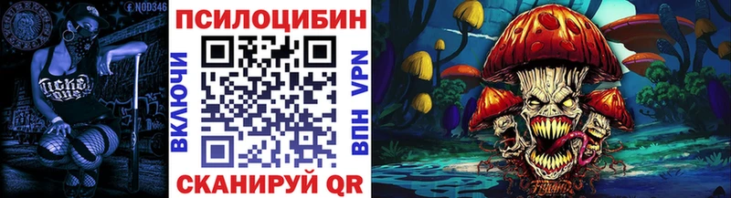 где можно купить   Плёс  Галлюциногенные грибы Psilocybe 